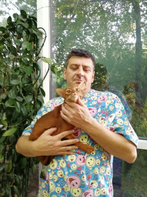 Фото врача Корнеевец Василий Николаевич