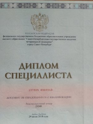 Фото врача Карасева Вера Евгеньевна