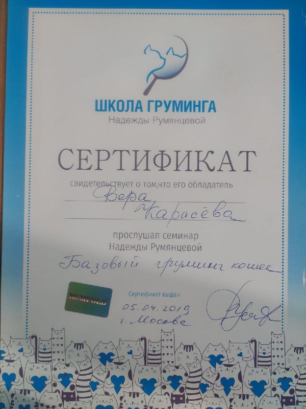 Документ или сертификат