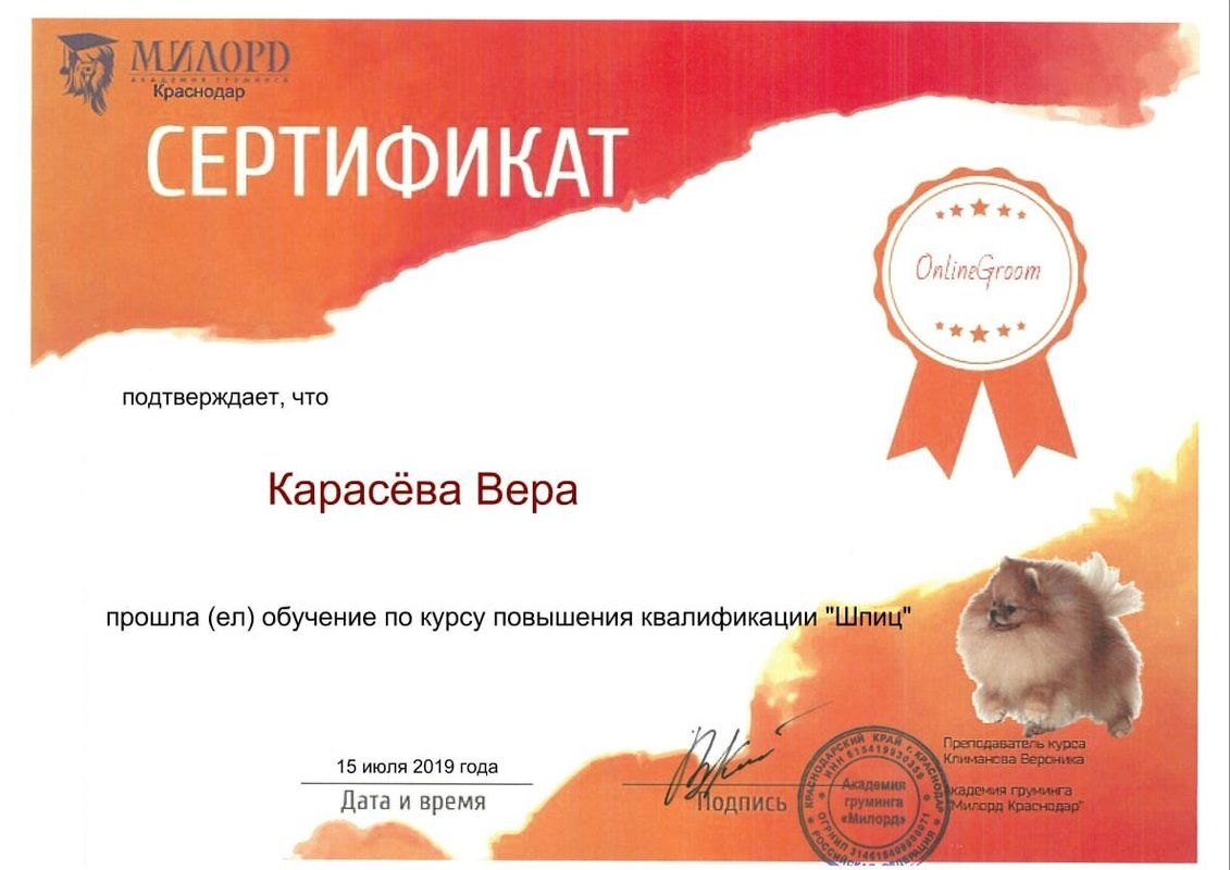 Документ или сертификат