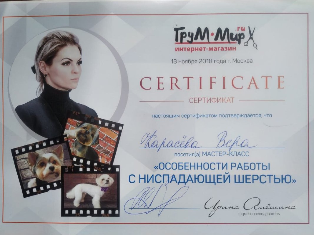 Документ или сертификат