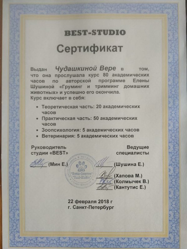 Документ или сертификат