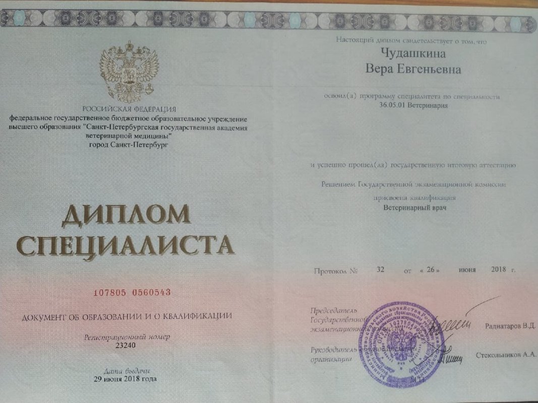 Документ или сертификат