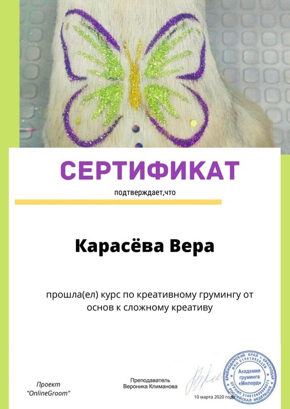 Документ или сертификат
