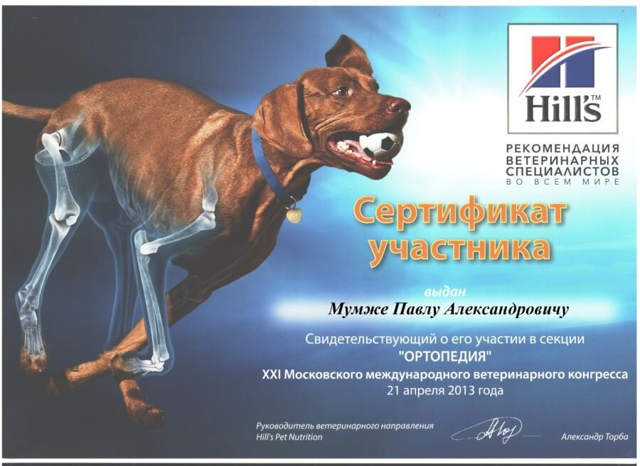 Документ или сертификат