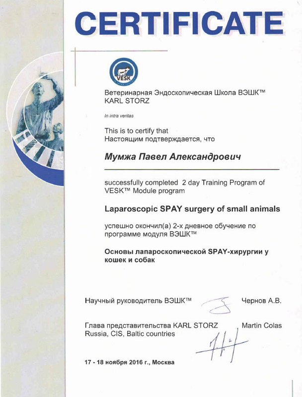 Документ или сертификат