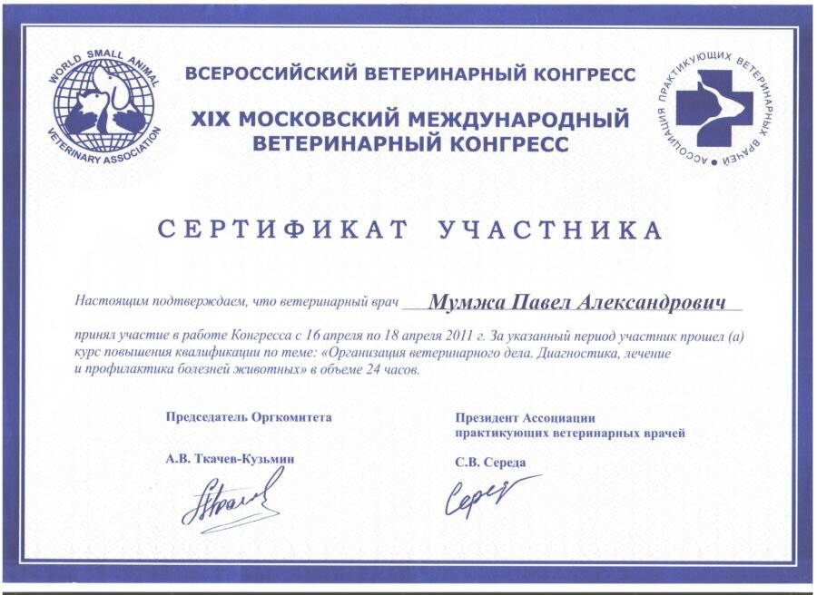 Документ или сертификат