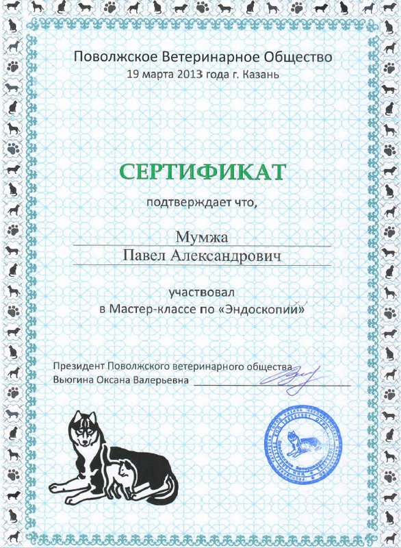 Документ или сертификат
