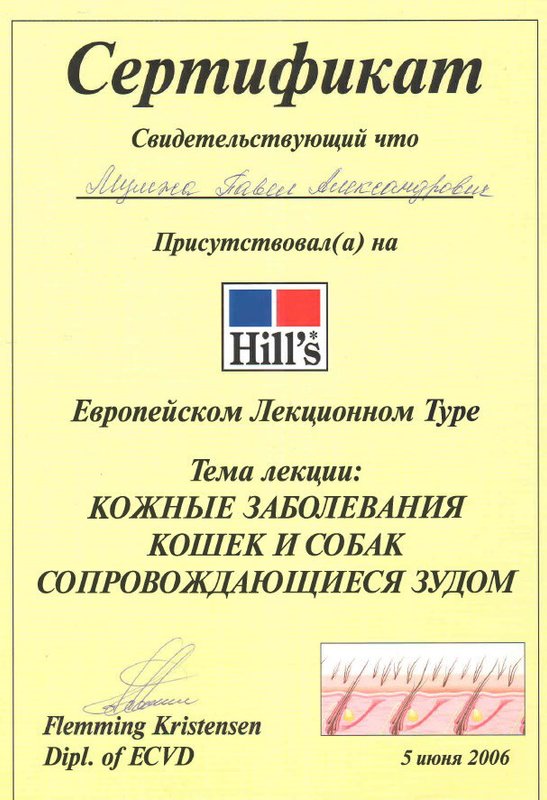 Документ или сертификат