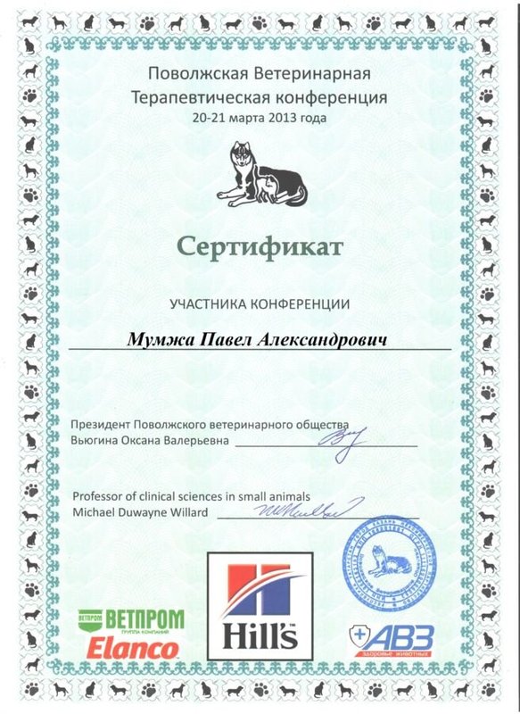 Документ или сертификат