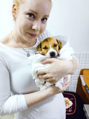 Фото врача Спиридонова Екатерина Сергеевна