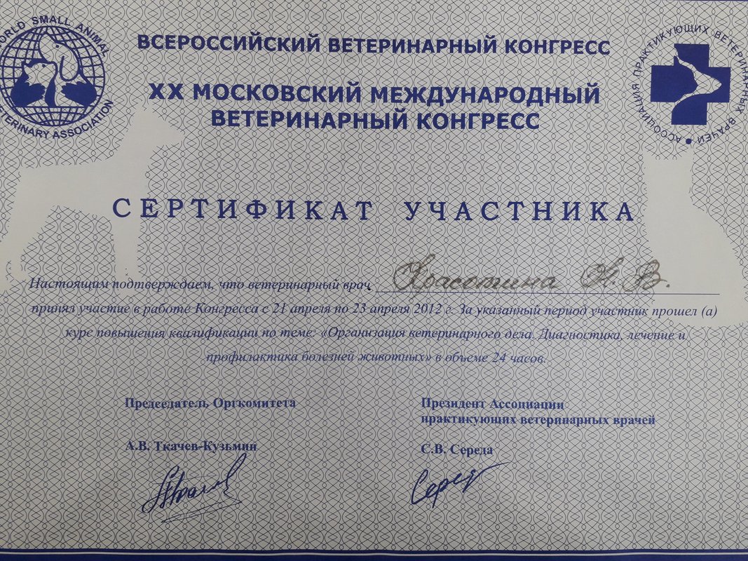 Документ или сертификат
