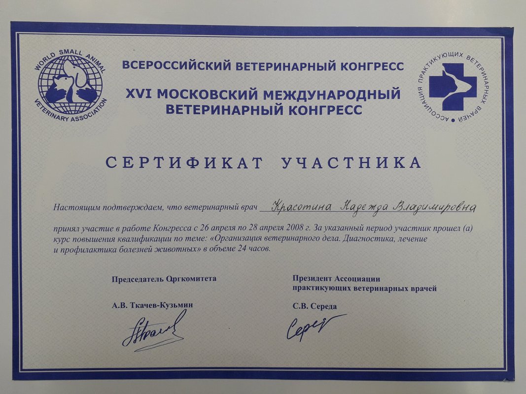 Документ или сертификат