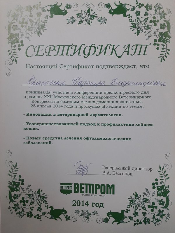 Документ или сертификат