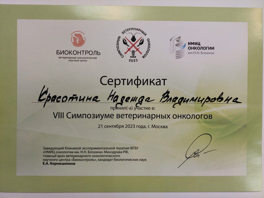 Документ или сертификат