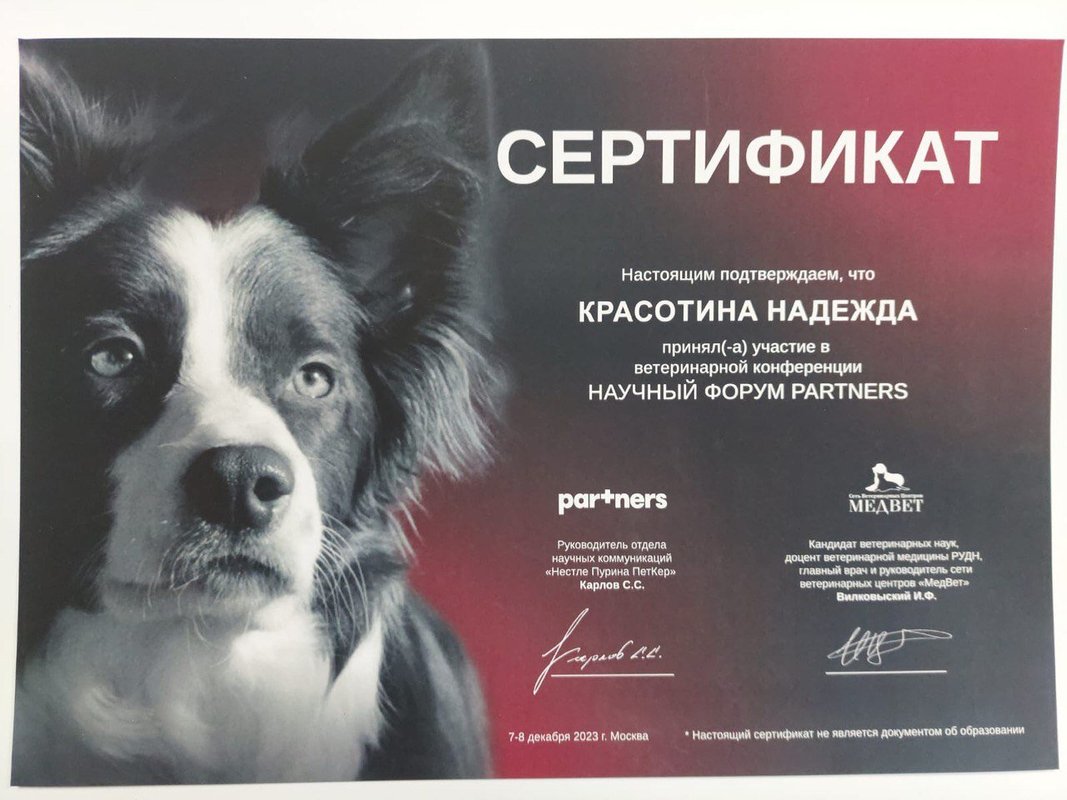 Документ или сертификат