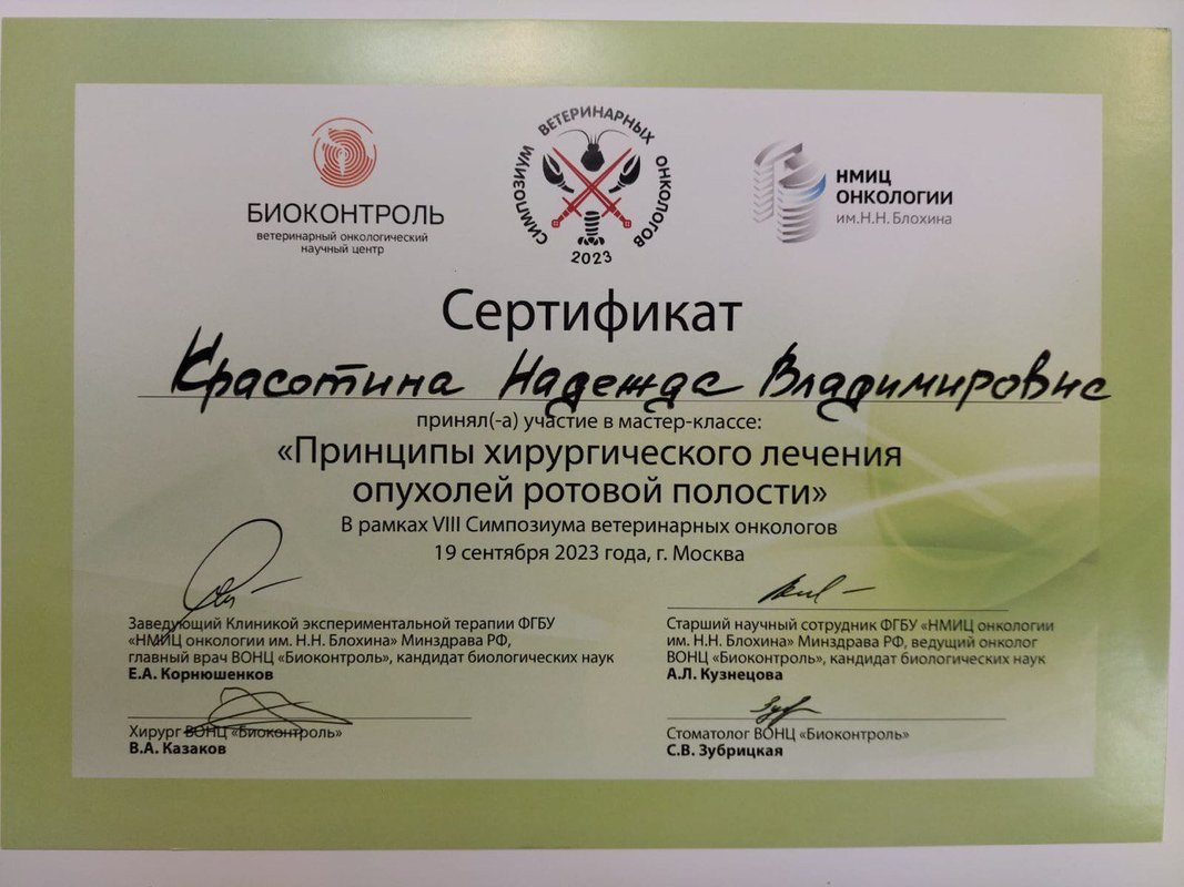 Документ или сертификат