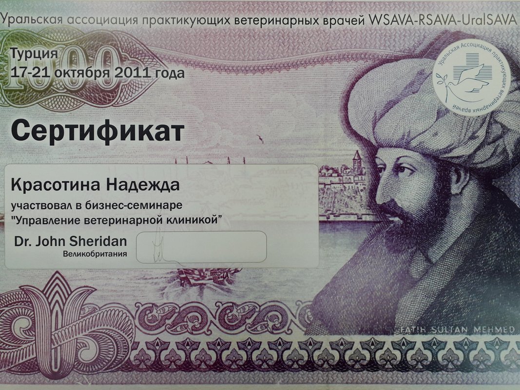 Документ или сертификат
