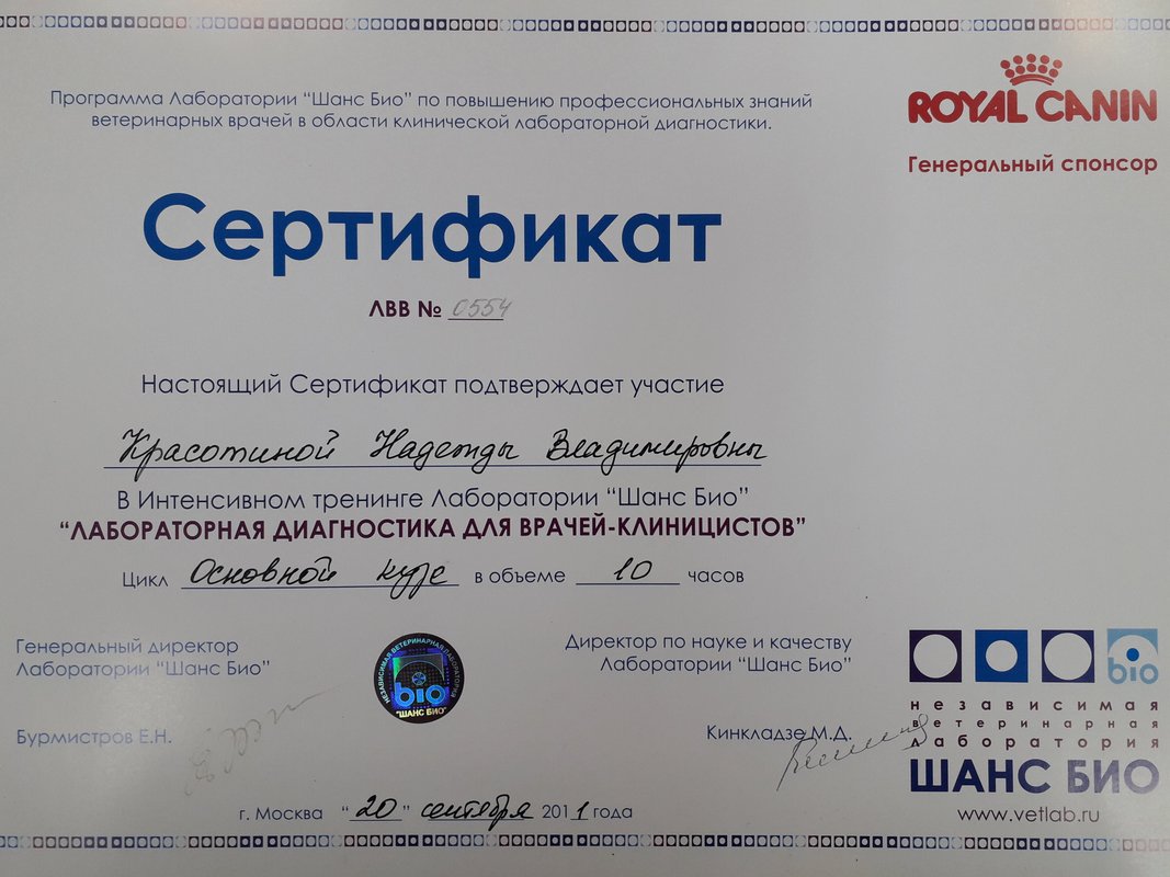 Документ или сертификат
