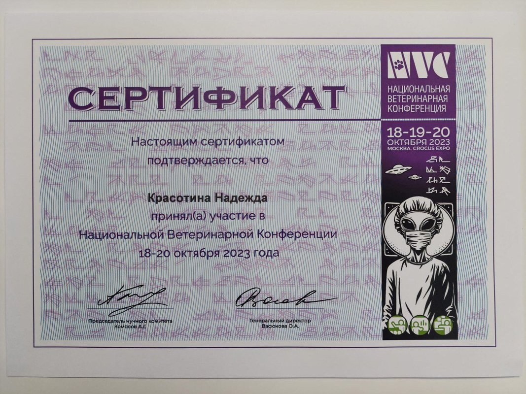 Документ или сертификат