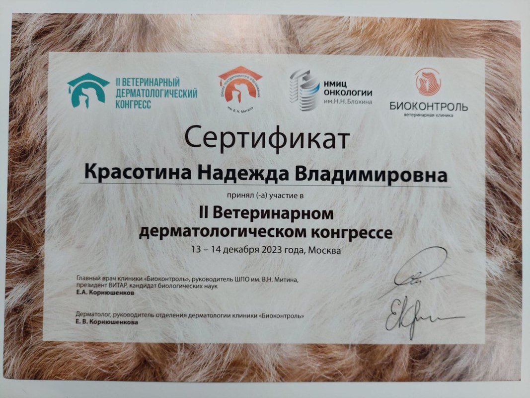 Документ или сертификат