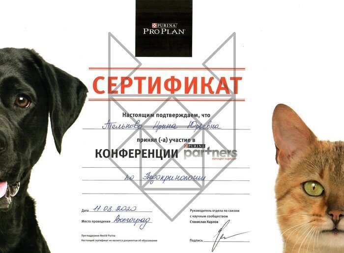 Документ или сертификат