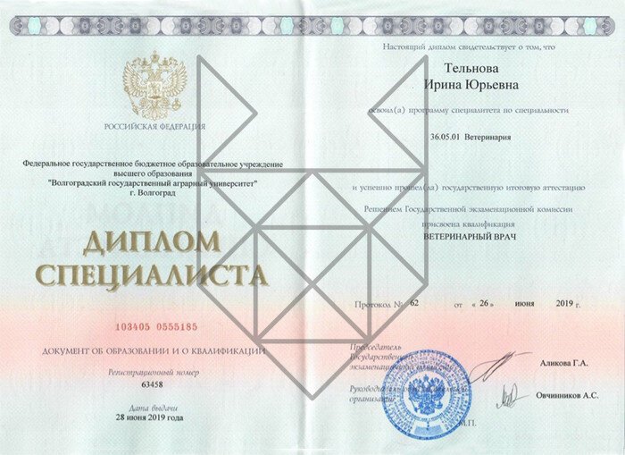 Документ или сертификат