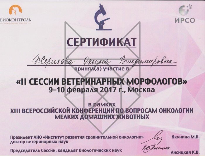 Документ или сертификат