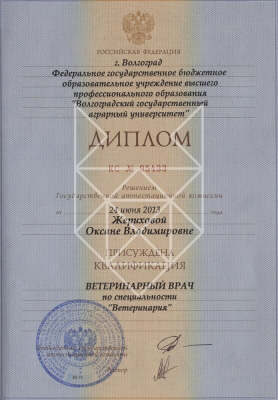 Документ или сертификат