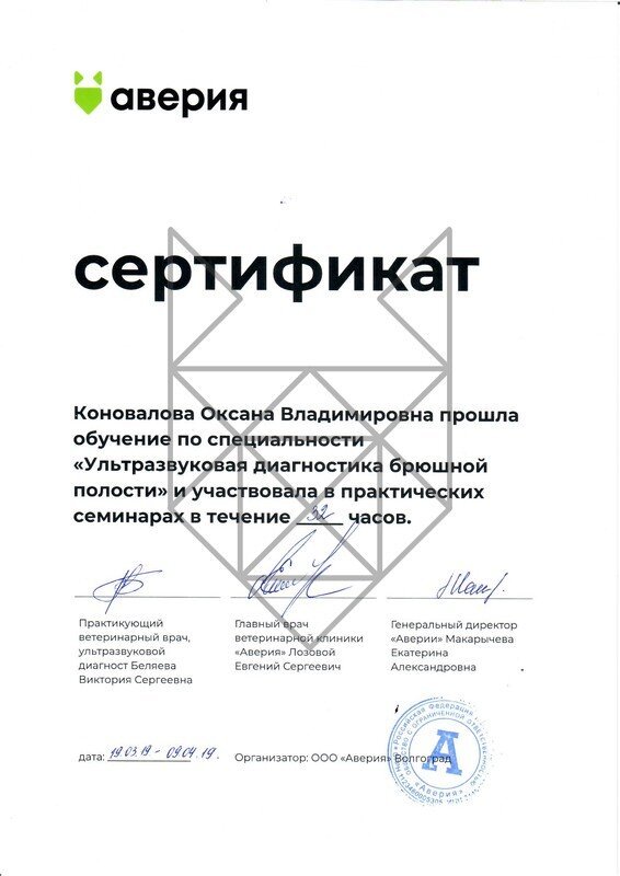 Документ или сертификат