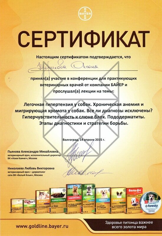 Документ или сертификат