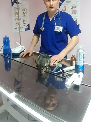 Фото врача Шайсламов Александр Виталиевич