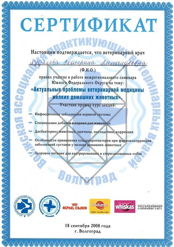 Документ или сертификат