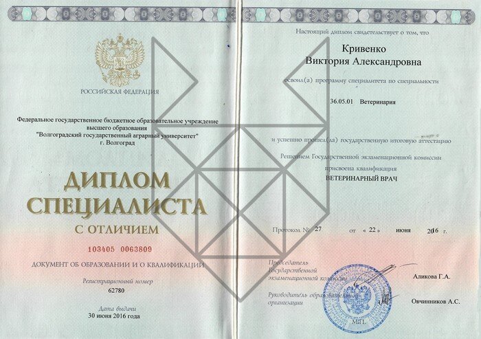 Документ или сертификат