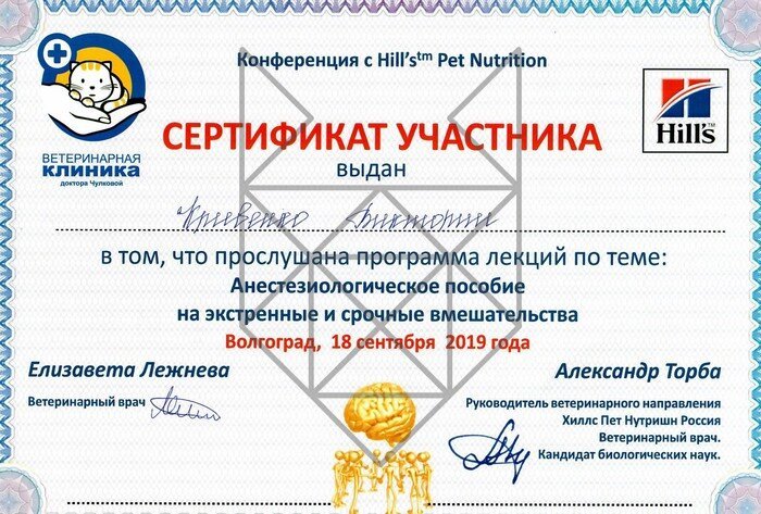 Документ или сертификат