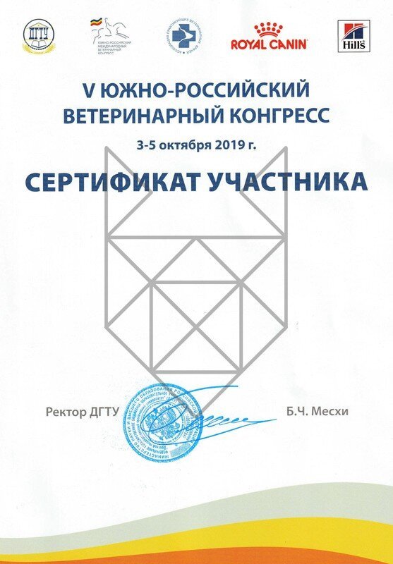 Документ или сертификат