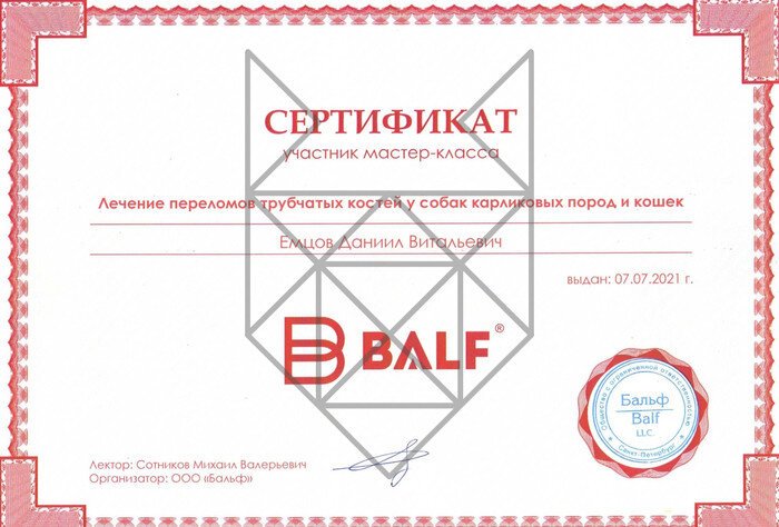 Документ или сертификат