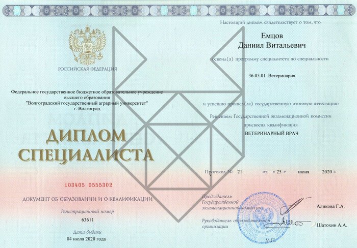 Документ или сертификат