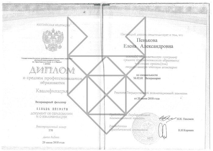 Документ или сертификат