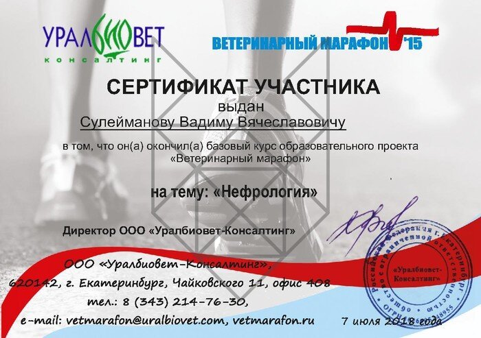 Документ или сертификат