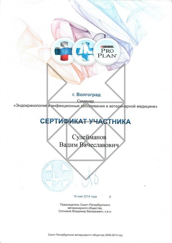 Документ или сертификат