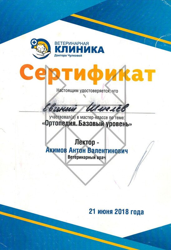 Документ или сертификат