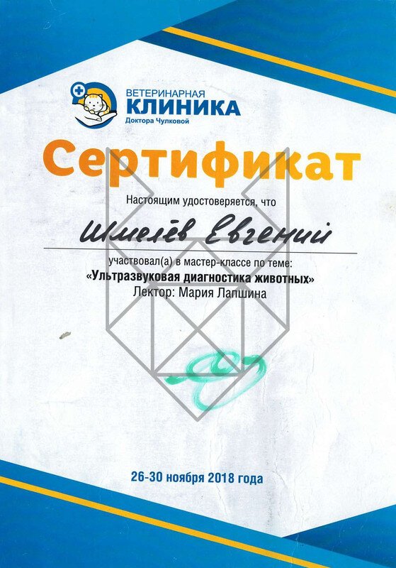 Документ или сертификат