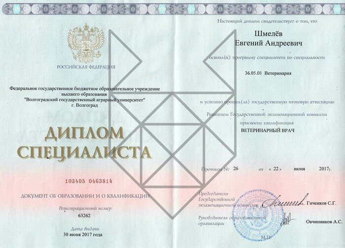 Документ или сертификат