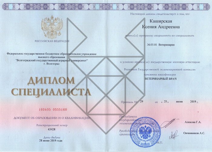 Документ или сертификат