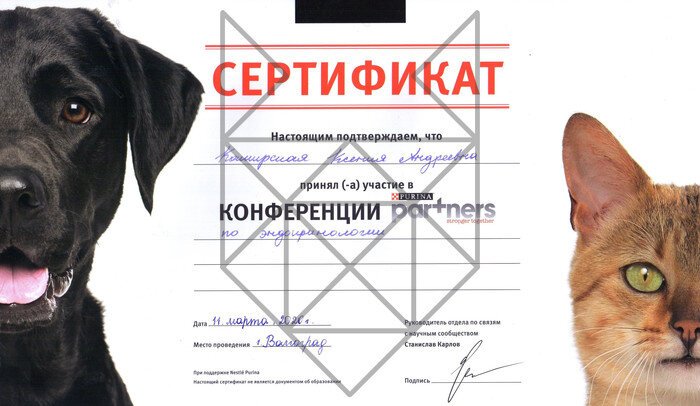 Документ или сертификат