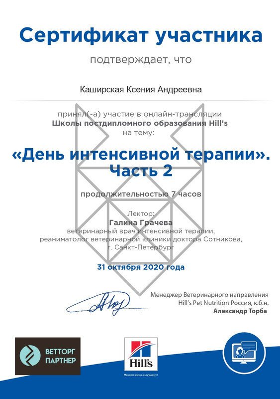 Документ или сертификат