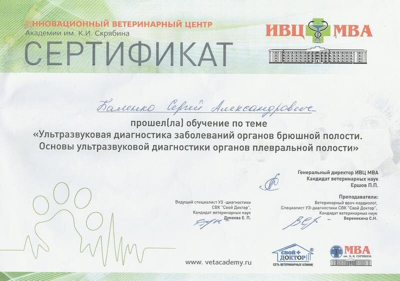 Документ или сертификат