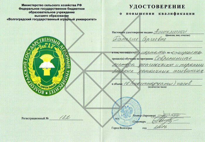 Документ или сертификат