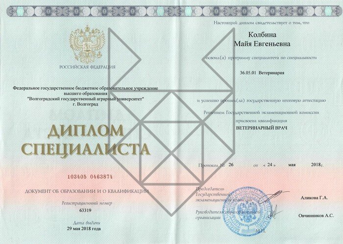 Документ или сертификат